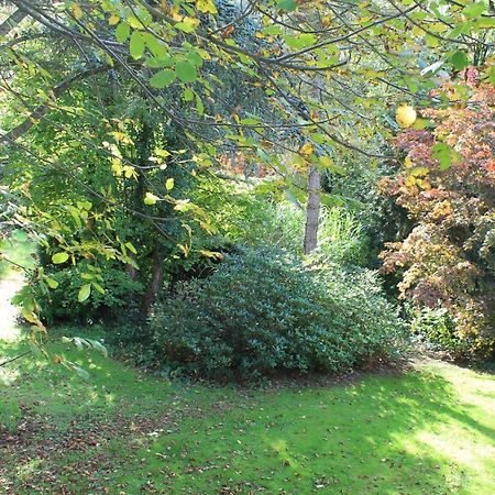 Bed and Breakfast Beau Reg'Art Hasselt Esterno foto