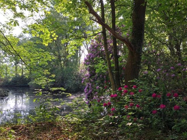 Bed and Breakfast Beau Reg'Art Hasselt Esterno foto