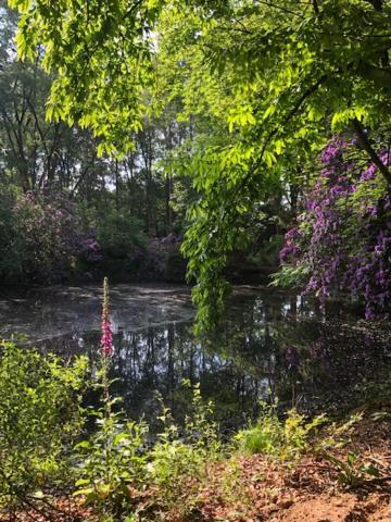 Bed and Breakfast Beau Reg'Art Hasselt Esterno foto