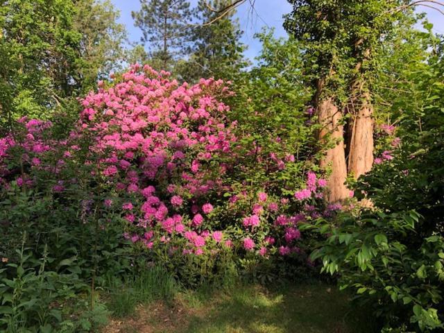 Bed and Breakfast Beau Reg'Art Hasselt Esterno foto