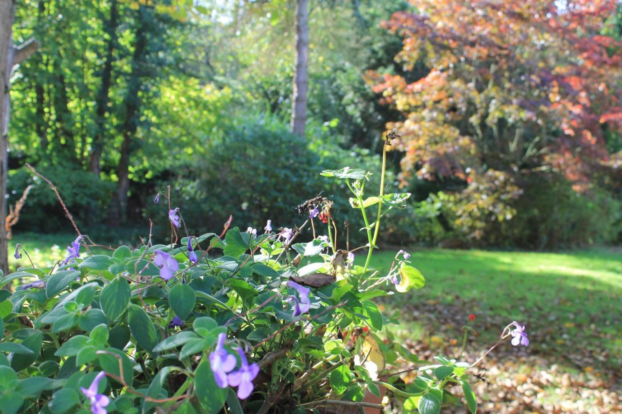 Bed and Breakfast Beau Reg'Art Hasselt Esterno foto